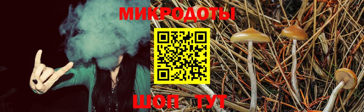 Галлюциногенные грибы GOLDEN TEACHER  Вход с VPN  Зеленодольск  Галлюциногенные грибы Cubensis 